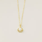 STMG Pearl on Seashell Necklace